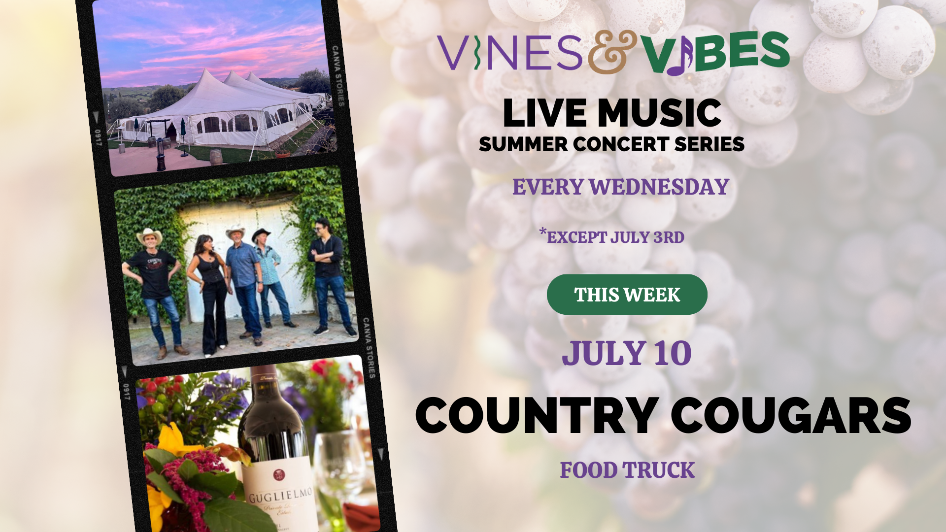 Vines & Vibes Country Cougars