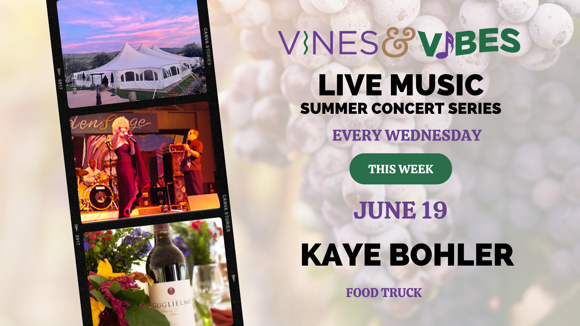 Vines and Vibes Kaye Bohler