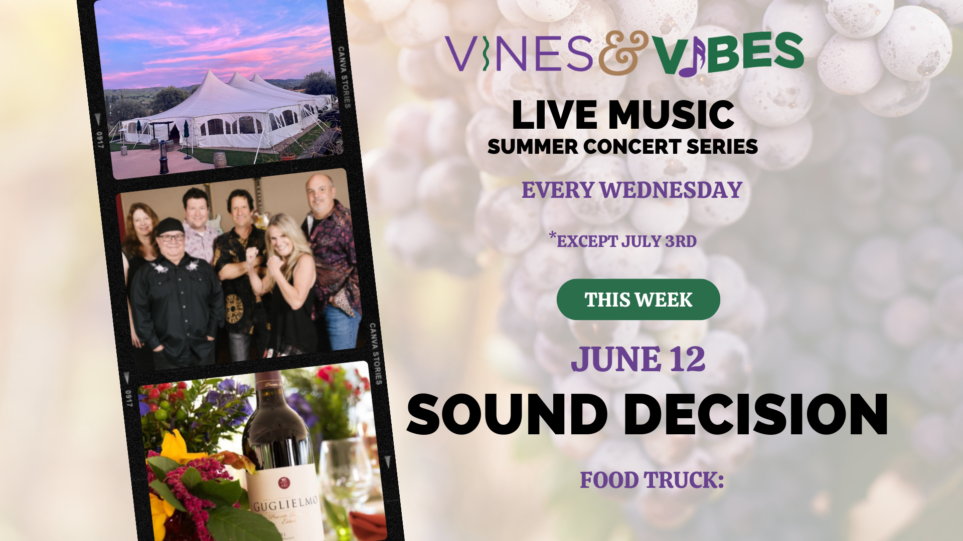 Vines and Vibes Sound Decision