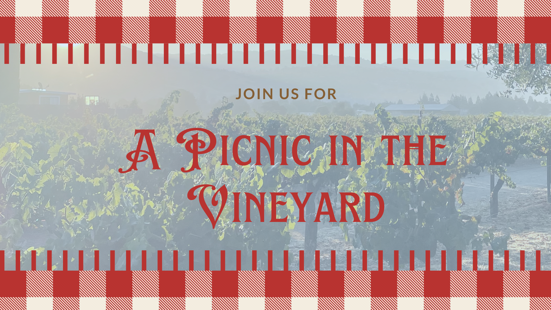 Picnic in the vineyard and live music at Guglielmo Winery
